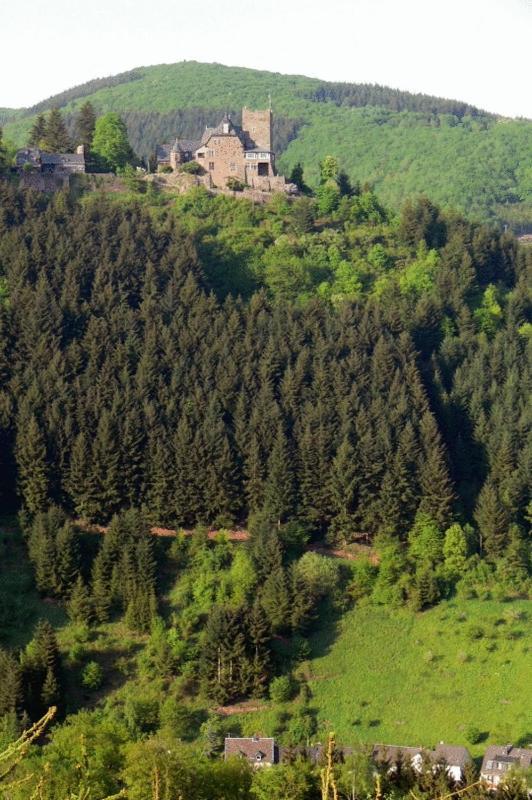 Panorama-Cafe Moselgarten Альф Екстер'єр фото