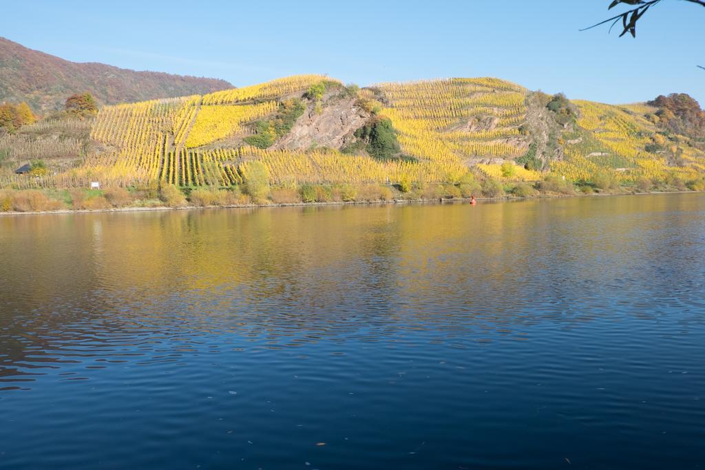 Panorama-Cafe Moselgarten Альф Екстер'єр фото